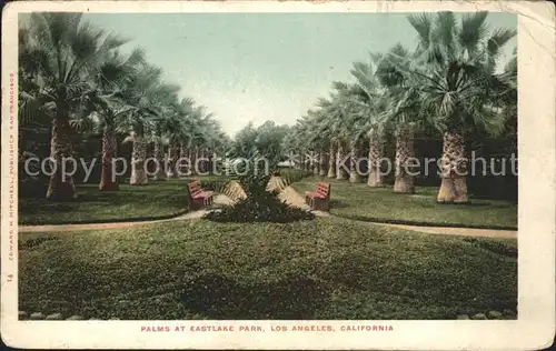 Los Angeles California Palms at Eastlake Park Kat. Los Angeles