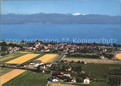 Perroy Rolle Lac Leman et le Mont Blanc Kat. Perroy