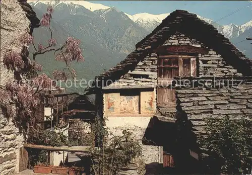 Aurigeno Vallemaggia Motivo rustico Kat. Aurigeno