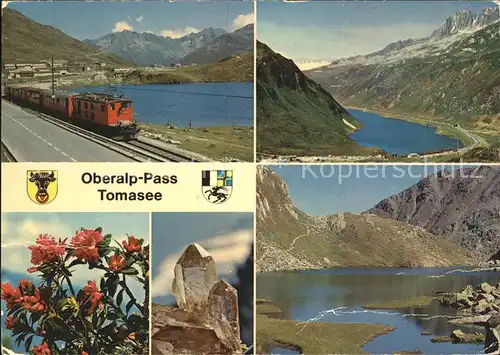 Oberalp Oberalp Passhoehe Alpenrosen Bergkristall Tomasee Kat. Oberalp