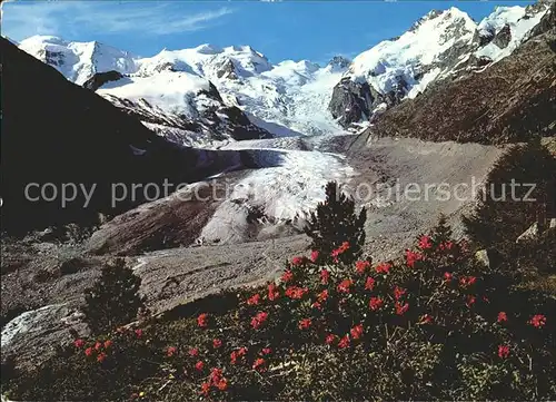 Alp Gruem Berninagruppe und Morteratschgletscher mit Piz Bernina Kat. Alp Gruem