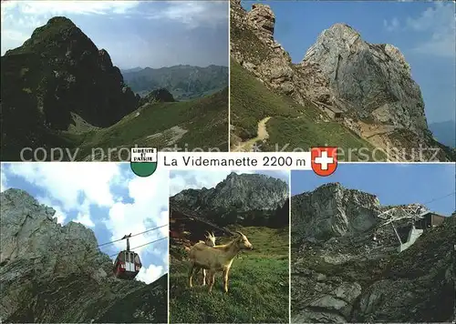 La Videmanette sur Rougemont Alpes Vaudoises Seilbahn Gemsen Kat. La Videmanette
