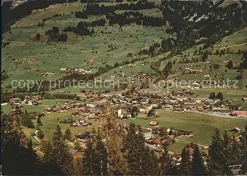 Lenk Simmental Totalansicht Kat. Lenk Simmental