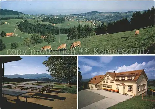 Buehler AR Gasthaus Hohe Buche mit Alpstein und Bodensee Kat. Buehler