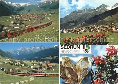 Sedrun Panaorama Bergbahn Carnischolas Bergkristall Alpenrosen Kat. Sedrun