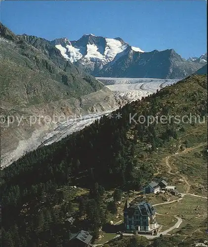 Riederalp Riederfurka Gr Aletschgletscher Aletschwald Wannenhorn Kat. Riederalp