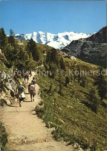 Samedan Hoehenweg mit Palue und Bellavista Kat. Samedan