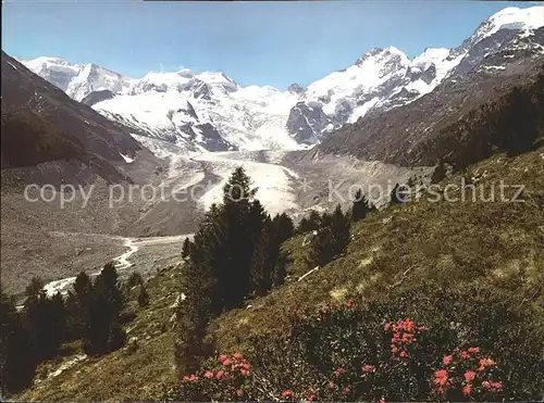 Morteratschgletscher  Kat. Morteratsch