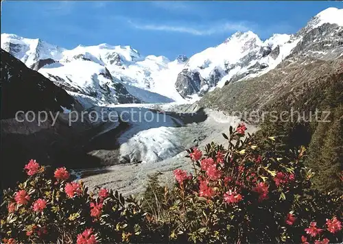 Morteratschgletscher mit Berninagruppe Kat. Morteratsch