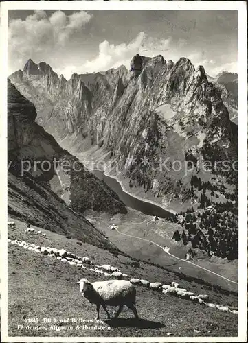 Bruelisau Berggasthaus Bollenwies Altmann Hundstein Faehlensee Schafe Kat. Bruelisau