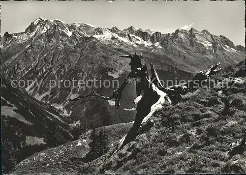 Toedi Toedikette von Alp Soliva aus gesehen Kat. Toedi