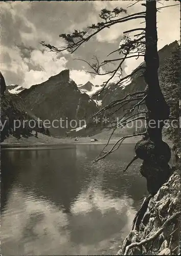 Seealpsee mit Saentis Kat. Schwende