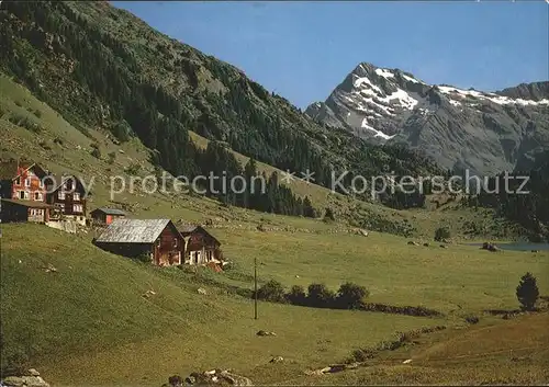 Bristen Amsteg Golzernalp Kat. Bristen