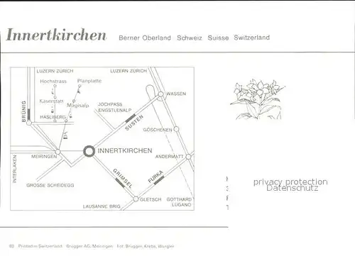 Innertkirchen Ortsansicht Hotel Alpenrose Gastraeume Kat. Innertkirchen