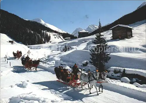 Davos GR Pferdeschlittenfahrt im Sertigtal Kat. Davos