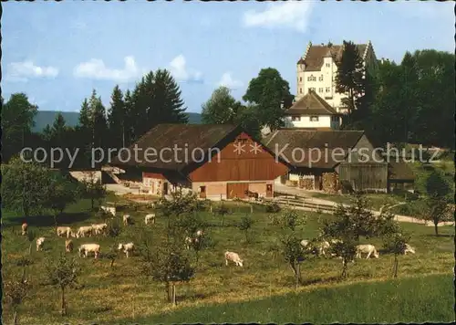 Stettfurt Schloss Sonnenberg Kat. Stettfurt