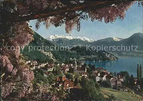 Vitznau am Vierwaldstaettersee mit Glycerinen Pergola und Nidwaldner Alpen Kat. Vitznau