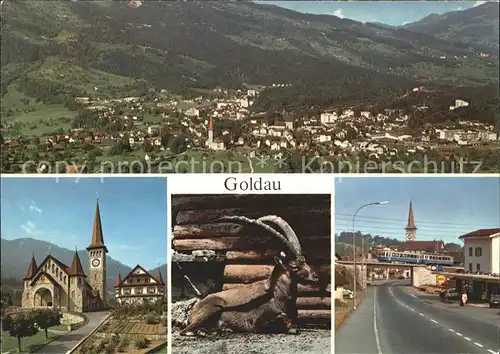 Goldau Panorama Kirche Steinbock Ortsblick Kat. Goldau