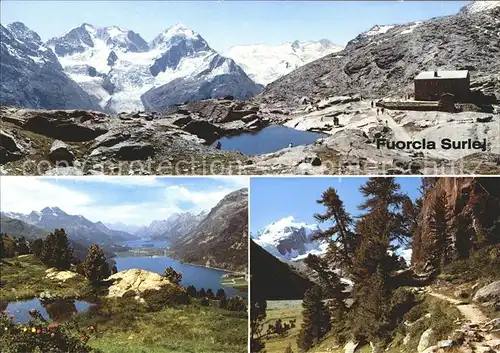 Fuorcla Surlej mit Piz Bernina Roseg und Sellagruppe Oberengadiner Seen Kat. Surlej Fuorcla