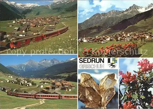 Sedrun mit Camischolas Bergkristall und Alpenrosen aus der Umgebung Kat. Sedrun