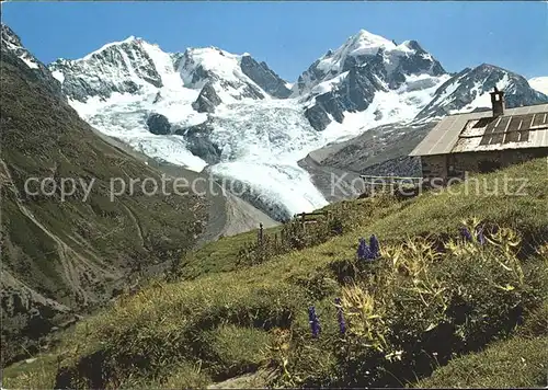 Piz Bernina mit Alp Ota und Piz Roseg Kat. Piz Bernina