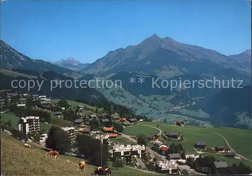 Leysin Panorama Kat. Leysin