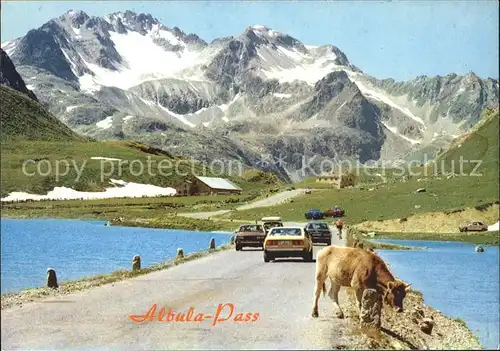 Albula Albulapass mit Piz Piramida Kat. Albula