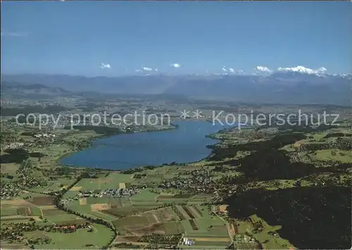 Greifensee mit Alpenpanorama Kat. Greifensee