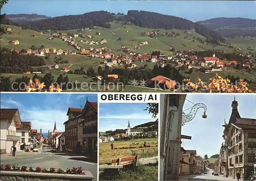 Oberegg IR Panorama Dorfpartien Kat. Oberegg