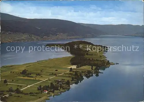 St Petersinsel Panorama am Bielersee Kat. Erlach