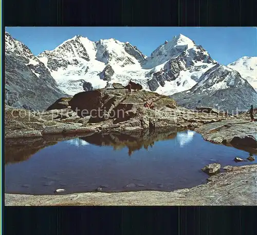 Fuorcla Surlej mit Blick auf Piz Bernina und Piz Roseg Kat. Surlej Fuorcla