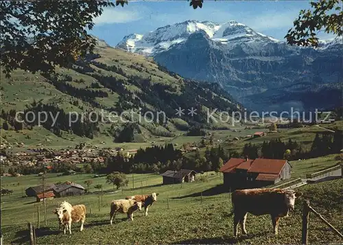 Lenk Simmental mit Wildstrubel Kat. Lenk Simmental