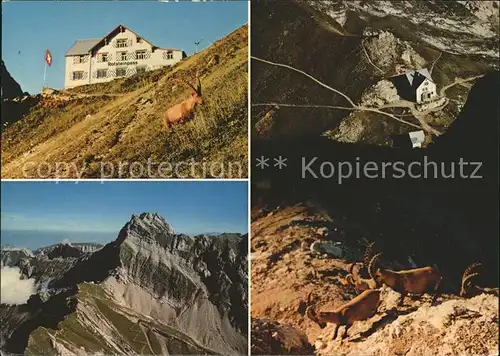 Weissbad Berggasthaus Rotsteinpass Altmann Steinwald  Kat. Weissbad