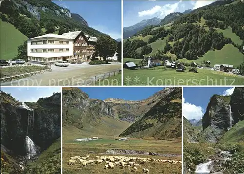 Weisstannen Hotel Gemse Wasserfall Schafherde Ortsblick Kat. Weisstannen