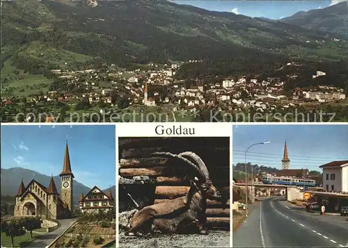 Goldau Totalansicht Kirche Gemse Dorfpartie Kat. Goldau