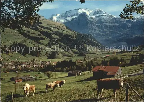 Lenk Simmental mit Wildstrubel Kat. Lenk Simmental