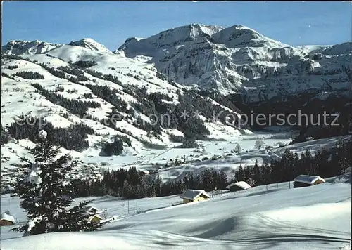 Lenk Simmental mit Wildstrubel Kat. Lenk Simmental