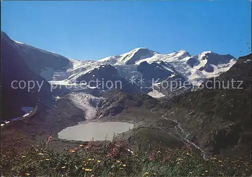 Sustenpass Steingletscher mit Gwaechtenhorn Kat. Susten