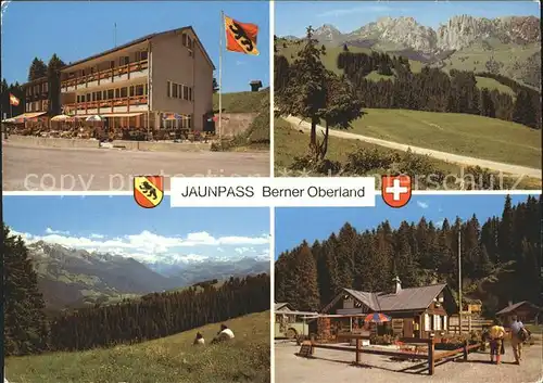 Jaunpass Hotel des Alpes Simmental Gastlosen Sportbazar Kat. Jaun
