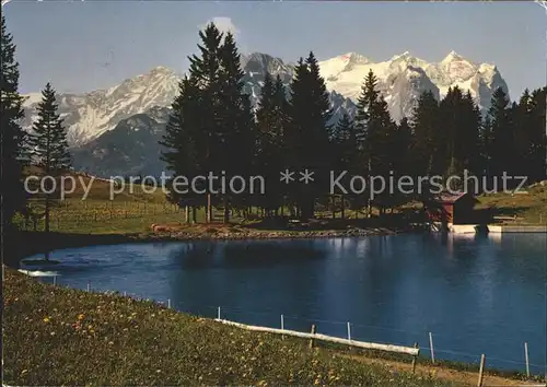 Hasliberg mit Bidmi und Wetterhorngruppe Kat. Meiringen