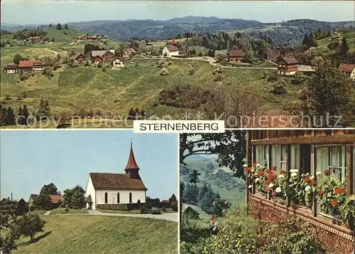 Sternenberg ZH Panorama Kirche Dorfmotiv Kat. Sternenberg