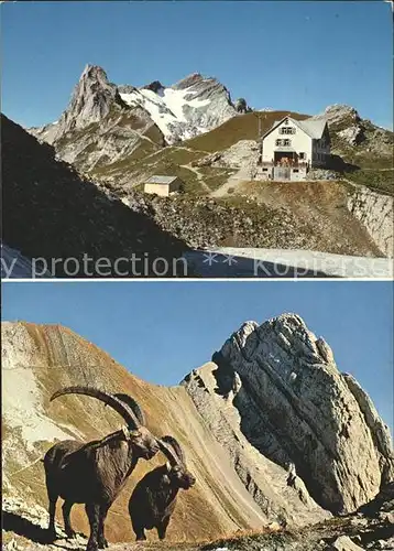 Lysengrat und S?ntis Berggasthaus Rotsteinpass Steinb?cke Kat. Altmann