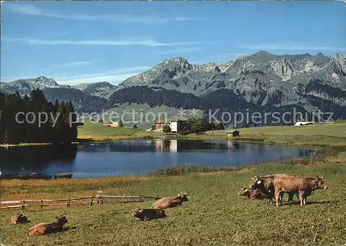 Wildhaus SG Rinderherde am Schwendisee Kat. Wildhaus Lisighaus