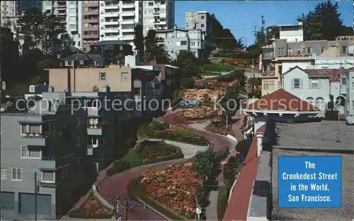 San Francisco California Lombard Street Kat. San Francisco