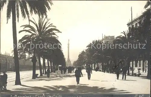 Barcelona Cataluna Paseo de Colon Palmera Kat. Barcelona