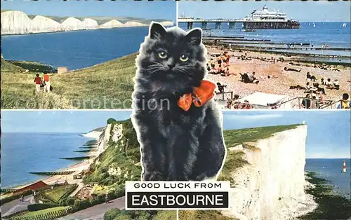 Eastbourne Sussex Panorama Pier Beach Cat Coast Kreidefelsen Kat. Eastbourne