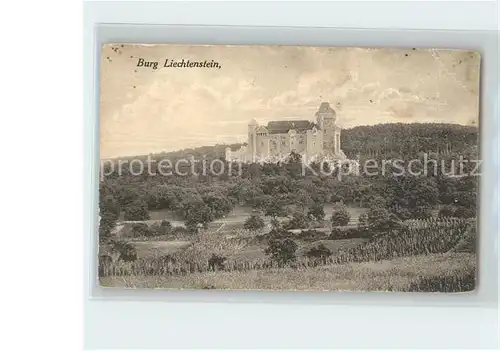 Maria Enzersdorf Burg Liechtenstein  Kat. Maria Enzersdorf