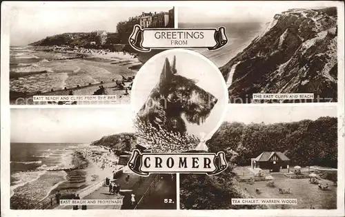 Cromer Beach Cliffs Promenade Tea Chalet Warren Woods Dog Excel Series Kat. North Norfolk