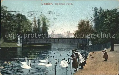 London Regents Park Swans Kat. City of London