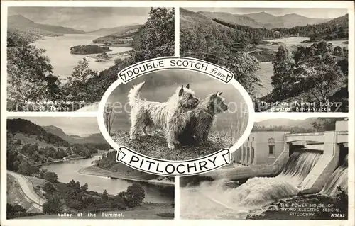 Pitlochry Loch Tummel Lake Power House Hydro Electric Scheme Dogs Scotch Wasserkraftwerk Kat. Perth & Kinross